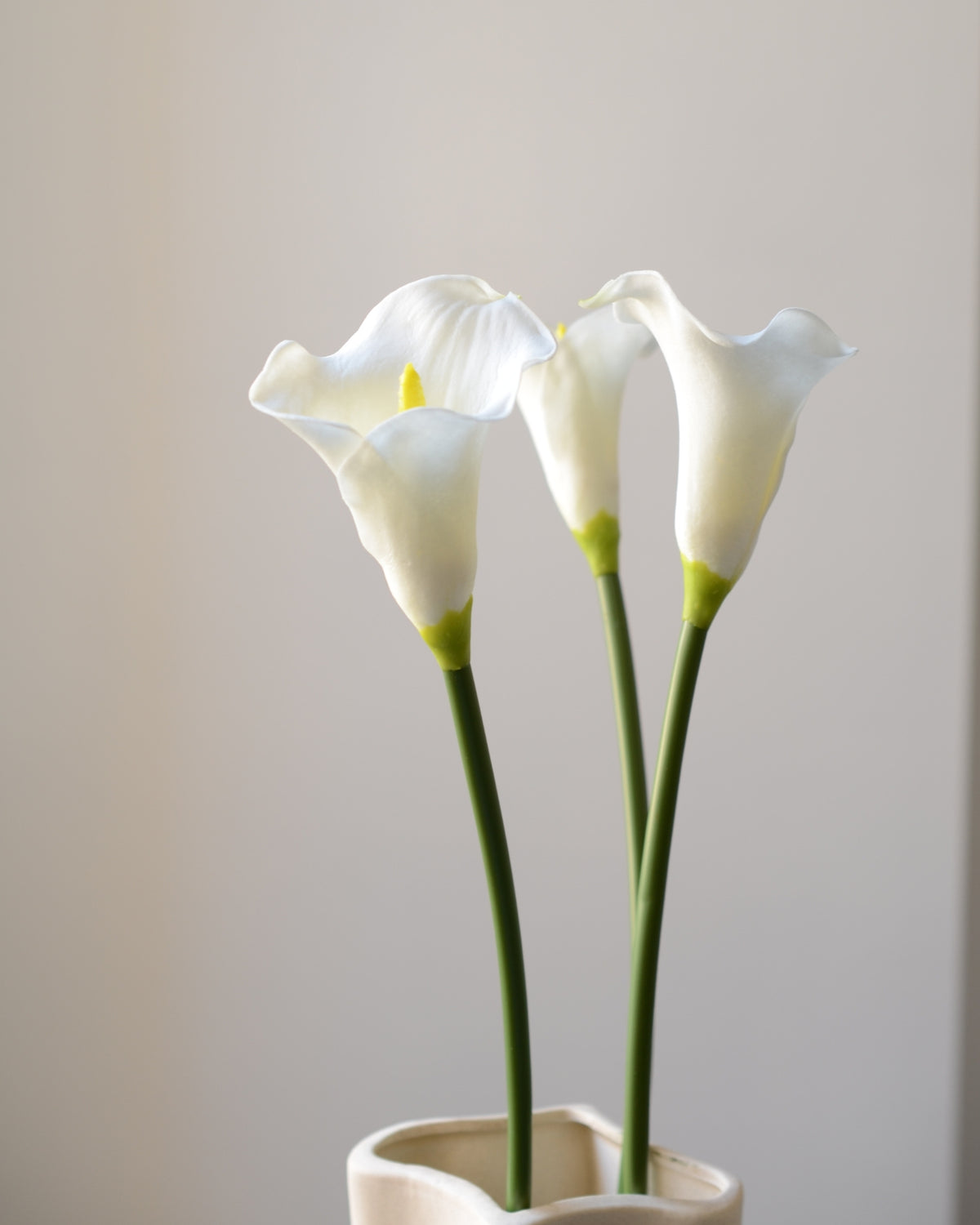 Vores kunstige calla lilje i klassisk hvid er en tidløs og elegant blomst, der tilfører ro og raffinement til enhver indretning. Med sin karakteristiske tragtform og glatte, silkebløde overflade ligner den ægte vare til forveksling – både i udtryk og struktur.
Stilken er fleksibel og naturtro med diskrete farvenuancer, som fuldender det realistiske look. Smuk alene i en slank vase eller som del af en buket, hvor den tilfører et stilrent og sofistikeret præg. Et ideelt valg til dig, der ønsker vedvarende sk