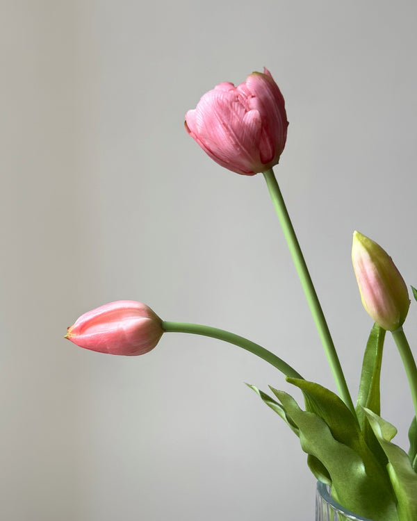 5 lyseroede tulipaner i en glasvase på en cement piedestal