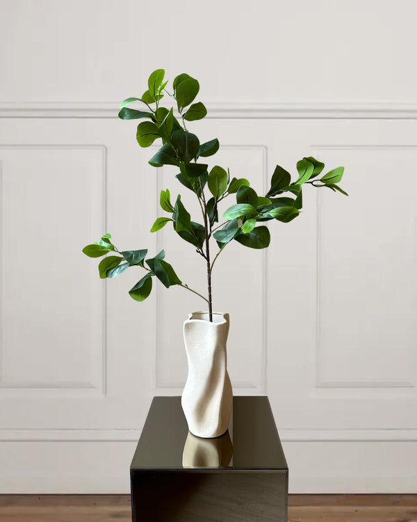 Artificial Ruscus branch
