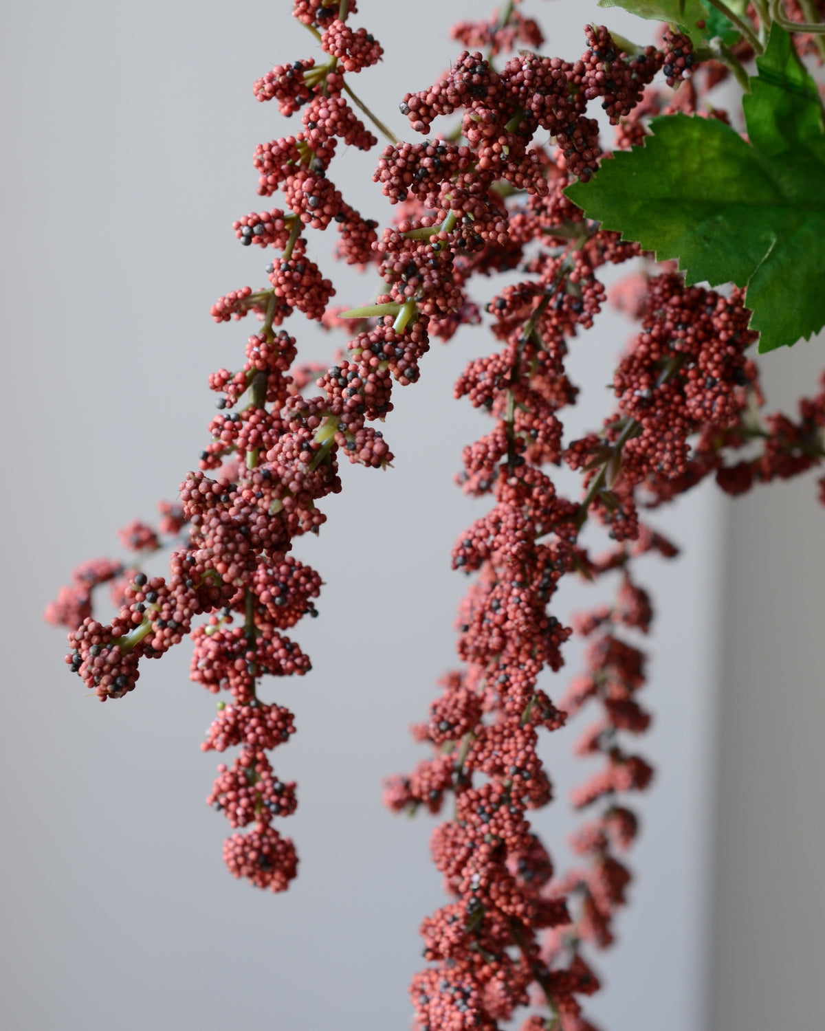 Kunstig rød amarant fra Bloomgaard