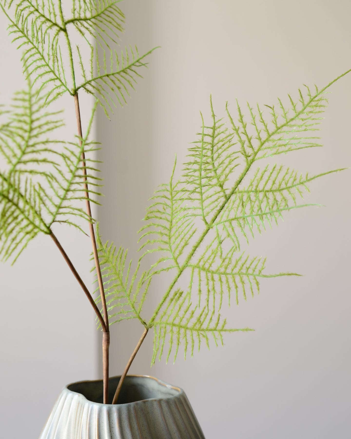 En luftig og elegant bregnegren, der med sine fine, fjerlette blade bringer bevægelse og struktur ind i enhver buket eller dekoration.&nbsp;Den støvede grønne nuance og detaljerede bladmønster giver et naturtro udtryk, der spiller smukt sammen med både farverige blomster og neutrale toner. Med sin fleksible stilk er bregnen nem at forme og placere – perfekt som fyld eller kontrast i en blomstersammensætning.

Et tidløst element, der tilfører lethed og frodighed – og som holder sig smuk helt uden vand.

Stil