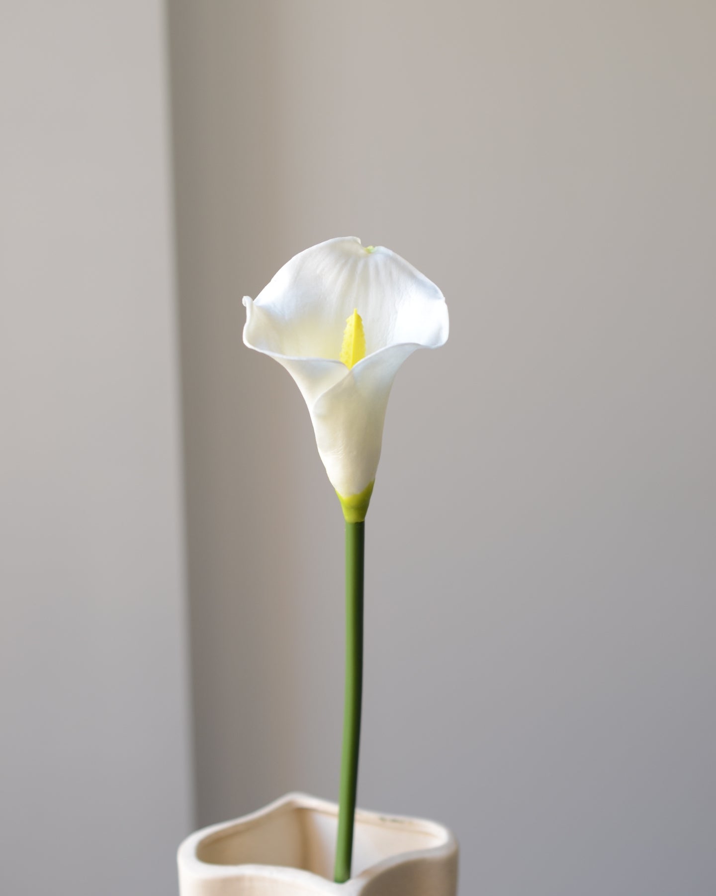 Vores kunstige calla lilje i klassisk hvid er en tidløs og elegant blomst, der tilfører ro og raffinement til enhver indretning. Med sin karakteristiske tragtform og glatte, silkebløde overflade ligner den ægte vare til forveksling – både i udtryk og struktur.

Stilken er fleksibel og naturtro med diskrete farvenuancer, som fuldender det realistiske look. Smuk alene i en slank vase eller som del af en buket, hvor den tilfører et stilrent og sofistikeret præg. Et ideelt valg til dig, der ønsker vedvarende sk
