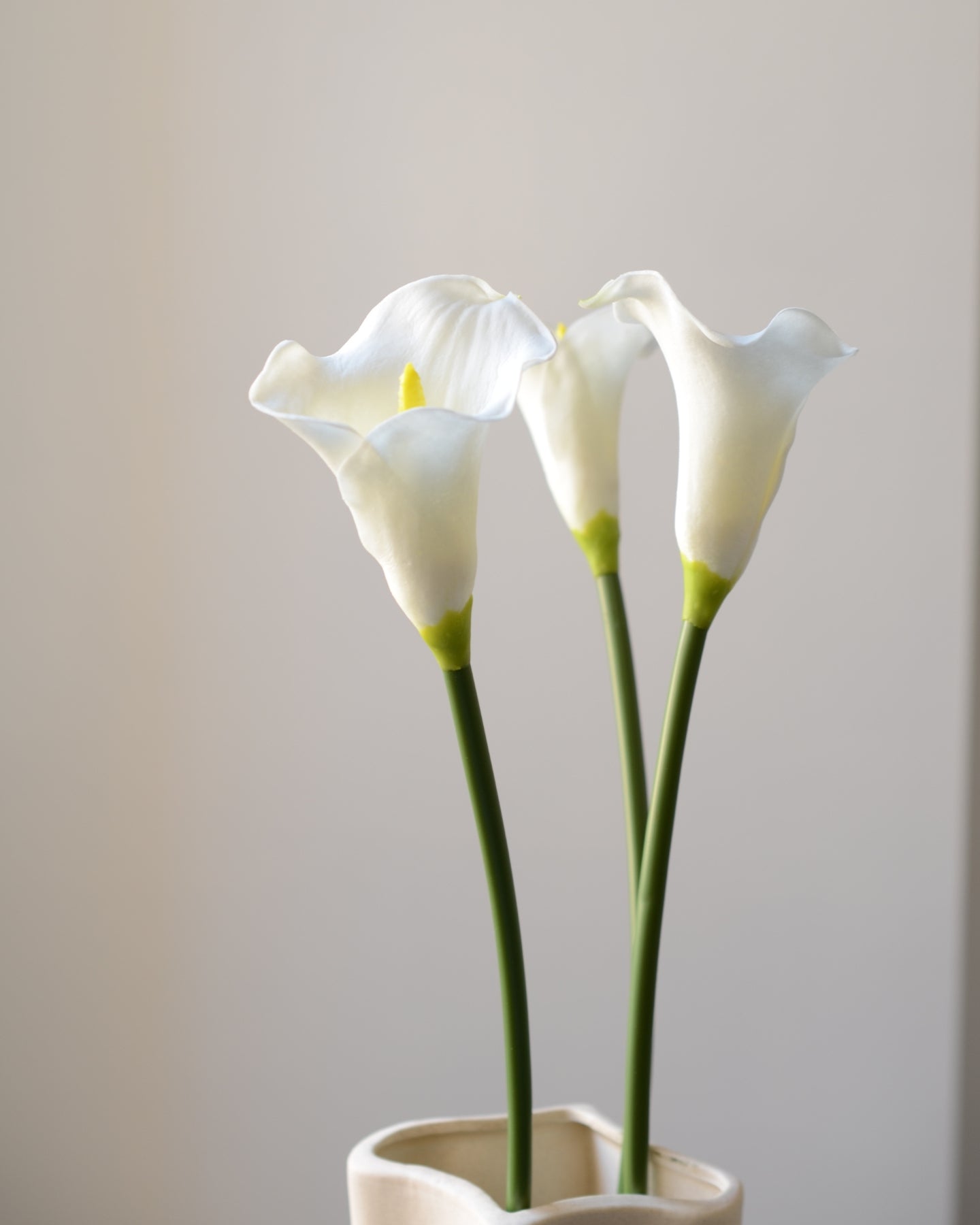 Vores kunstige calla lilje i klassisk hvid er en tidløs og elegant blomst, der tilfører ro og raffinement til enhver indretning. Med sin karakteristiske tragtform og glatte, silkebløde overflade ligner den ægte vare til forveksling – både i udtryk og struktur.

Stilken er fleksibel og naturtro med diskrete farvenuancer, som fuldender det realistiske look. Smuk alene i en slank vase eller som del af en buket, hvor den tilfører et stilrent og sofistikeret præg. Et ideelt valg til dig, der ønsker vedvarende sk