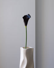 Vores kunstige calla lilje i dyb sort med et subtilt lilla skær er en unik og elegant blomst, der tilfører dramatik og raffinement til indretningen. Den ikoniske, tragtformede blomst har en glat og silkeblød overflade, der er udformet med stor præcision og giver et naturtro, eksklusivt udtryk.

Stilken er fleksibel og realistisk med fine farvenuancer, der understøtter blomstens levende look. Smuk alene i en vase, hvor den skaber et stemningsfuldt og kunstnerisk udtryk – eller som kontrast i en buket, hvor d
