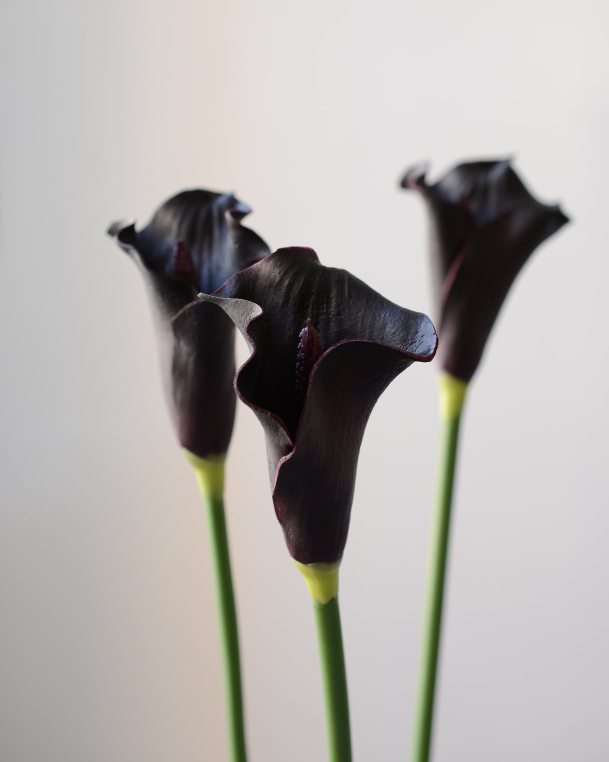 Kunstig sort calla lilje fra Bloomgaard