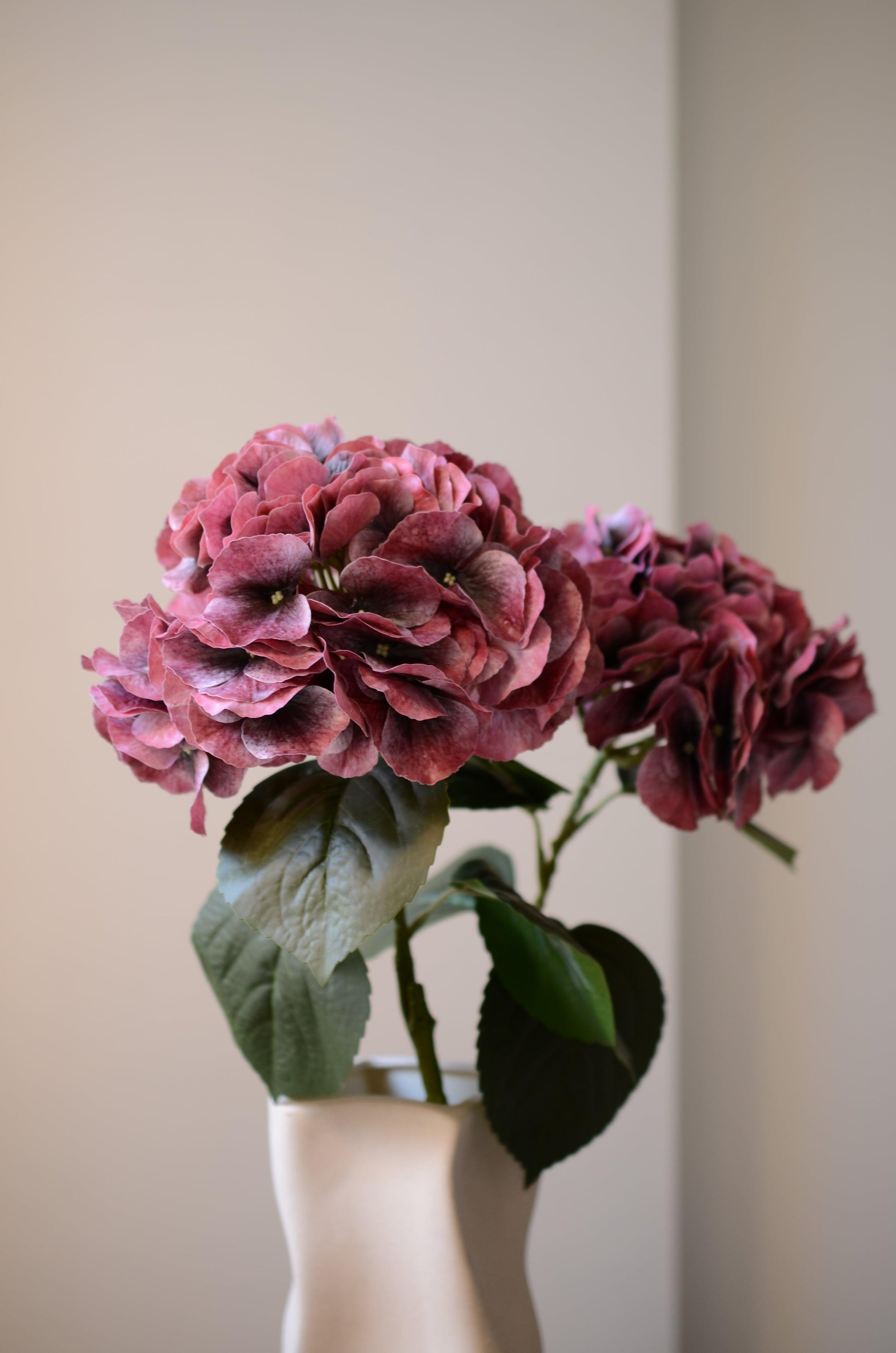 Denne kunstige hortensia i smukke, mørkrøde nuancer udstråler varme og eksklusivitet. Det fyldige blomsterhoved har en rig farvedybde med subtile nuancer, der skaber et levende og naturtro udtryk. De mørkegrønne blade langs stilken tilfører kontrast og detaljer til blomstens realistiske design. Perfekt som et elegant statement i en vase eller som en del af en evighedsbuket, der bevarer sin skønhed år efter år.