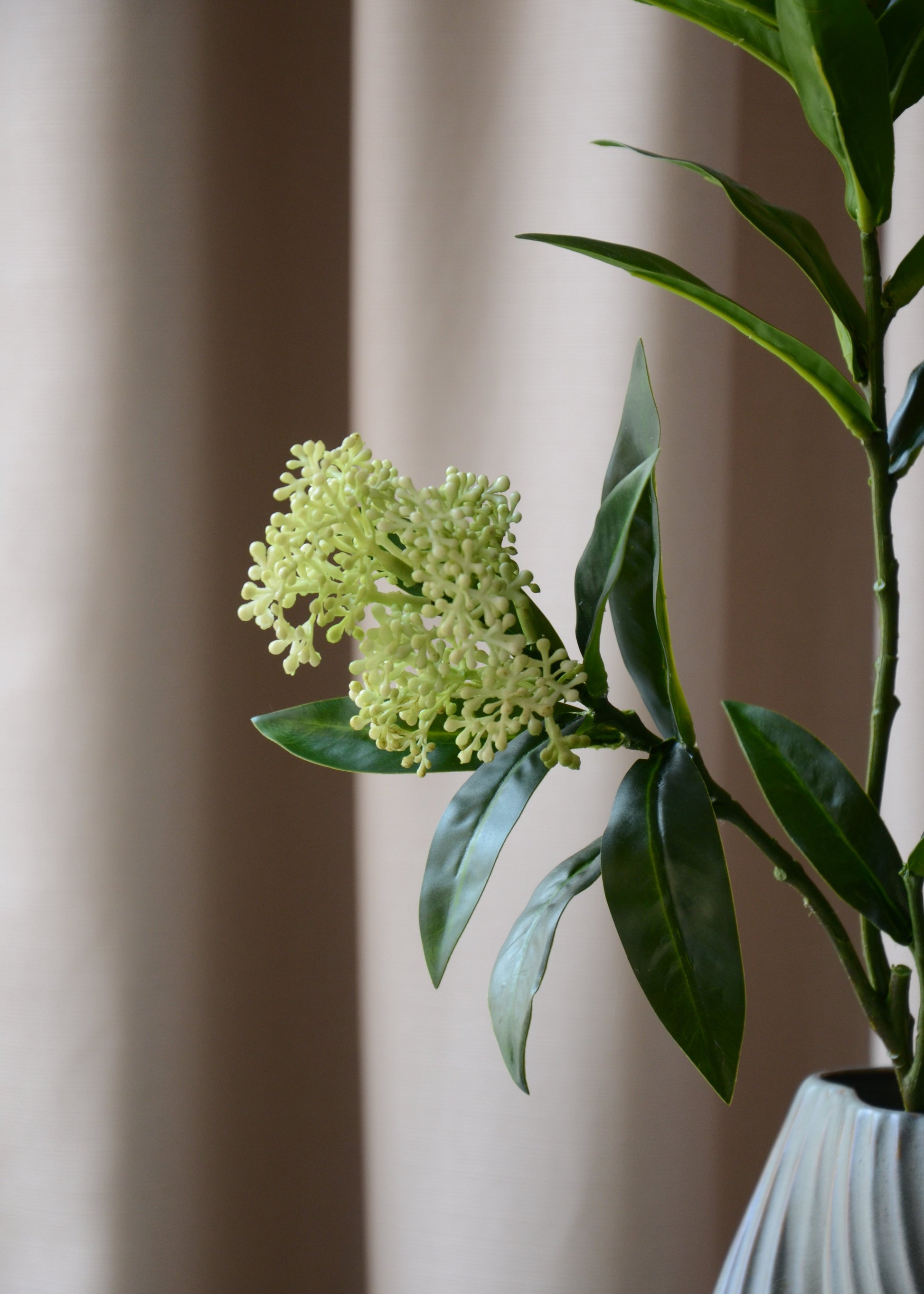 Den kunstige Skimmia med to hvid-grønne bærklaser er det perfekte valg, når du vil tilføje et elegant og friskt touch til din indretning. De mørkegrønne blade skaber en smuk kontrast til de lyse bær, som er udformet med stor omhu og realisme.&nbsp;

Den langvarige og vedligeholdelsesfri Skimmia står smukt alene eller tilføjer et sofistikeret og levende element til en buket med andre kunstige blomster.