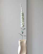 Denne kunstige rævehale har et elegant og organisk udtryk, der tilføjer blødhed og bevægelse til enhver buket eller vase.&nbsp;De små, tætplacerede blomsterhoveder i en blød, elfenbenshvid nuance er naturtro gengivet med fine teksturer og subtile nuancer. Stilken er fleksibel og kan formes, så den buer let og draperet – perfekt som kontrast til mere kompakte blomster.

Brug den alene for et enkelt og skulpturelt udtryk, eller lad den tilføre dybde og dimension til dine blomsterarrangementer. En smuk og vedl