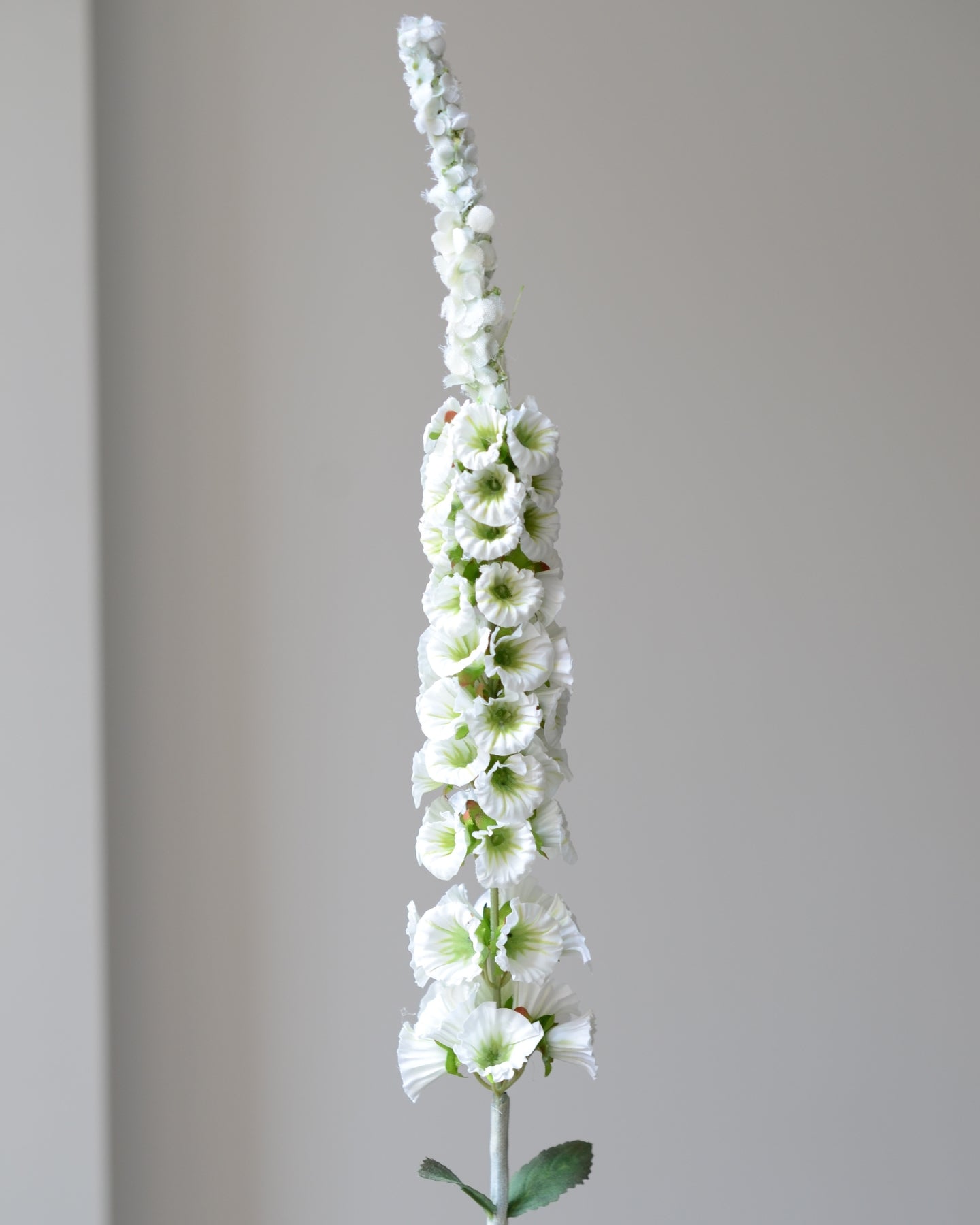 Denne kunstige rævehale har et elegant og organisk udtryk, der tilføjer blødhed og bevægelse til enhver buket eller vase.&nbsp;De små, tætplacerede blomsterhoveder i en blød, elfenbenshvid nuance er naturtro gengivet med fine teksturer og subtile nuancer. Stilken er fleksibel og kan formes, så den buer let og draperet – perfekt som kontrast til mere kompakte blomster.

Brug den alene for et enkelt og skulpturelt udtryk, eller lad den tilføre dybde og dimension til dine blomsterarrangementer. En smuk og vedl