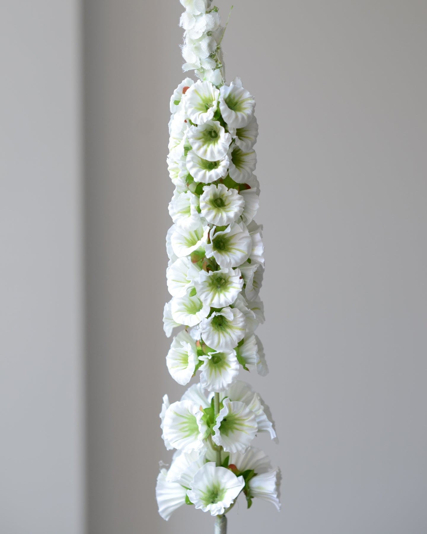 Denne kunstige rævehale har et elegant og organisk udtryk, der tilføjer blødhed og bevægelse til enhver buket eller vase.&nbsp;De små, tætplacerede blomsterhoveder i en blød, elfenbenshvid nuance er naturtro gengivet med fine teksturer og subtile nuancer. Stilken er fleksibel og kan formes, så den buer let og draperet – perfekt som kontrast til mere kompakte blomster.

Brug den alene for et enkelt og skulpturelt udtryk, eller lad den tilføre dybde og dimension til dine blomsterarrangementer. En smuk og vedl