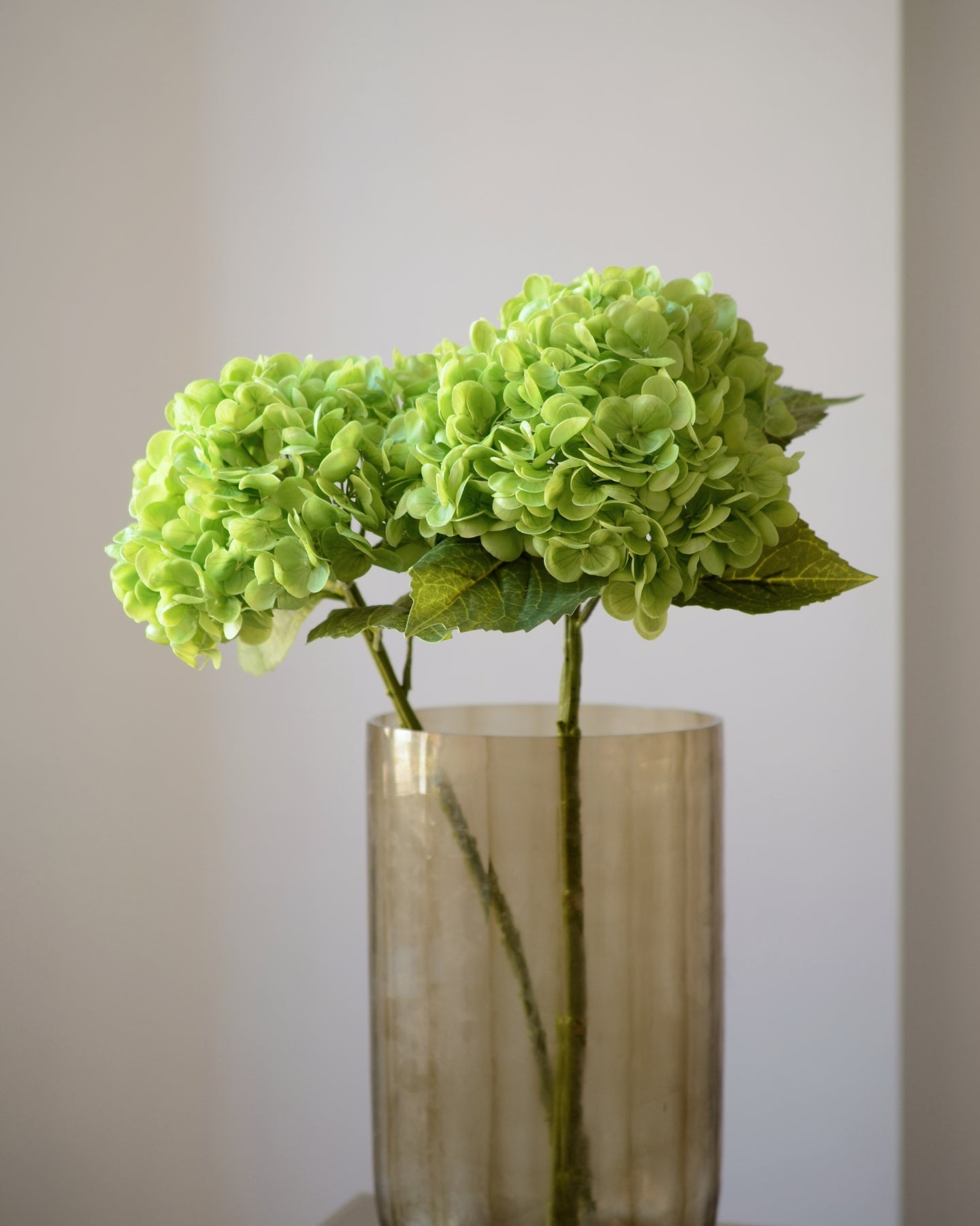 Den kunstige Hortensia i grøn er en iøjnefaldende blomst, der med sine fyldige, elegante blomsterhoveder i frodige nuancer giver friskhed til en buket. De detaljerede blomster og de mørkegrønne blade giver et naturligt og realistisk udtryk, mens den langvarige kvalitet gør den til en vedligeholdelsesfri løsning.

Stilken måler 49 cm.