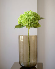 Den kunstige Hortensia i grøn er en iøjnefaldende blomst, der med sine fyldige, elegante blomsterhoveder i frodige nuancer giver friskhed til en buket. De detaljerede blomster og de mørkegrønne blade giver et naturligt og realistisk udtryk, mens den langvarige kvalitet gør den til en vedligeholdelsesfri løsning.

Stilken måler 49 cm.