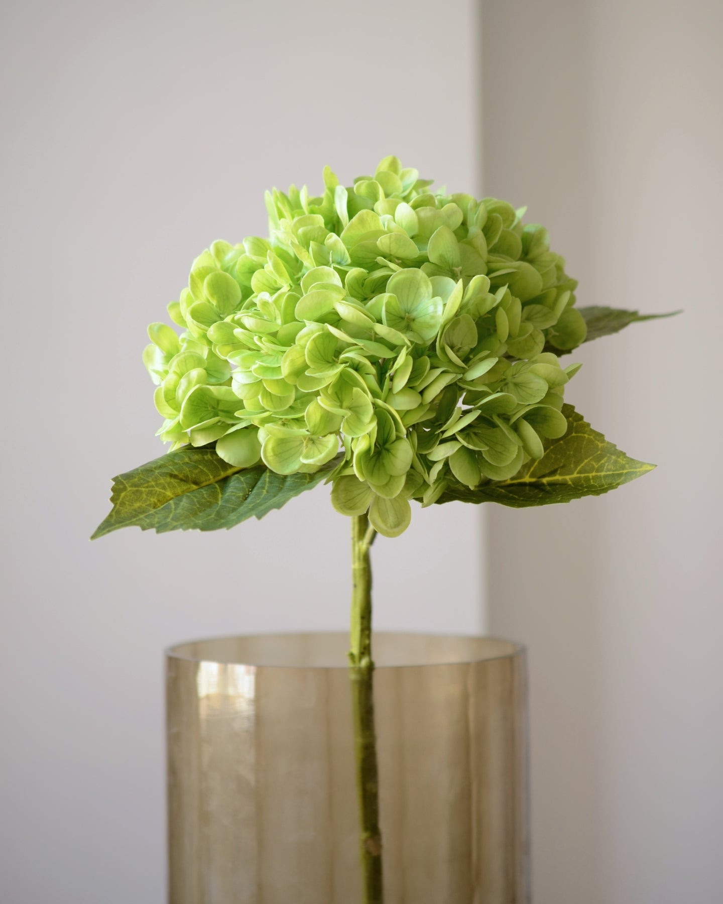 Den kunstige Hortensia i grøn er en iøjnefaldende blomst, der med sine fyldige, elegante blomsterhoveder i frodige nuancer giver friskhed til en buket. De detaljerede blomster og de mørkegrønne blade giver et naturligt og realistisk udtryk, mens den langvarige kvalitet gør den til en vedligeholdelsesfri løsning.

Stilken måler 49 cm.