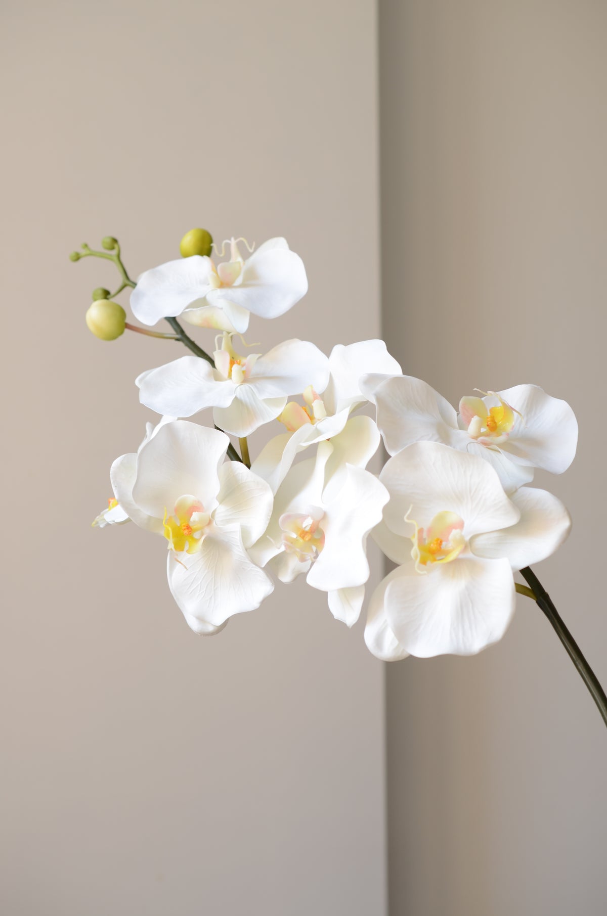 Kunstig hvid orkidé fra Bloomgaard
