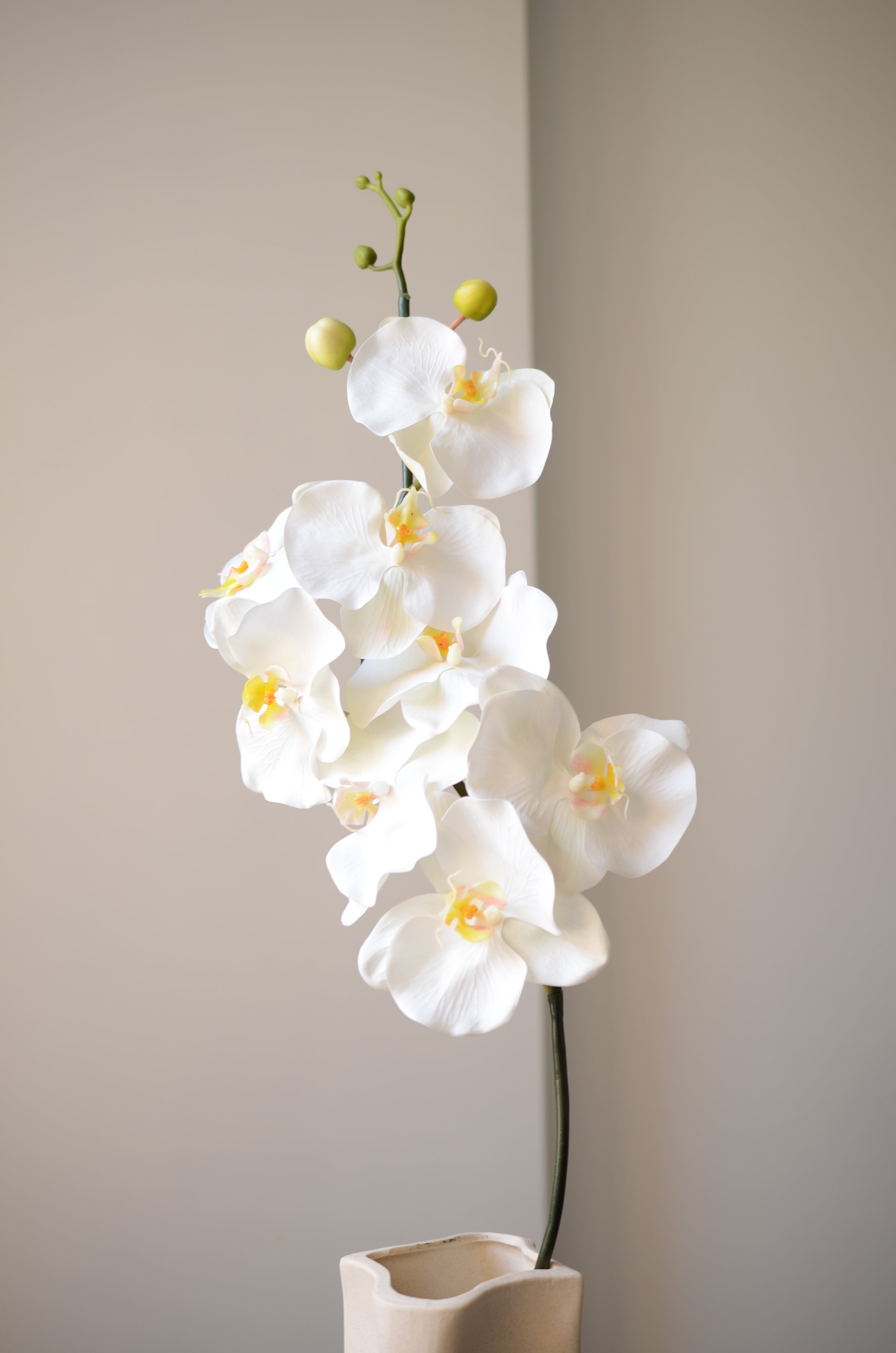 Den hvide orkidé med 8 hoveder stråler af renhed og ynde. Med sine elegante, naturtro blomsterhoveder tilfører den et stilfuldt og roligt udtryk til enhver indretning. De fine, silkebløde kronblade er udformet med stor omhu og føles næsten som en ægte blomst. En tidløs klassiker, der aldrig visner – og altid bringer skønhed med sig.

Står smukt alene eller kombineret med andre kunstige blomster, hvor den vil give et stilfuldt præg til ethvert rum.

Stilken måler 98 cm.