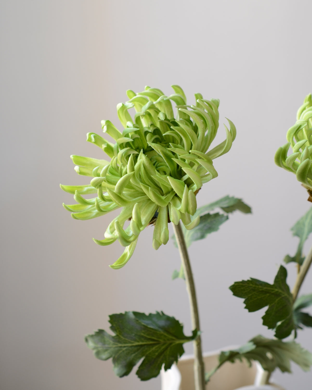 Kunstig lysegrøn kaktusdahlia fra Bloomgaard