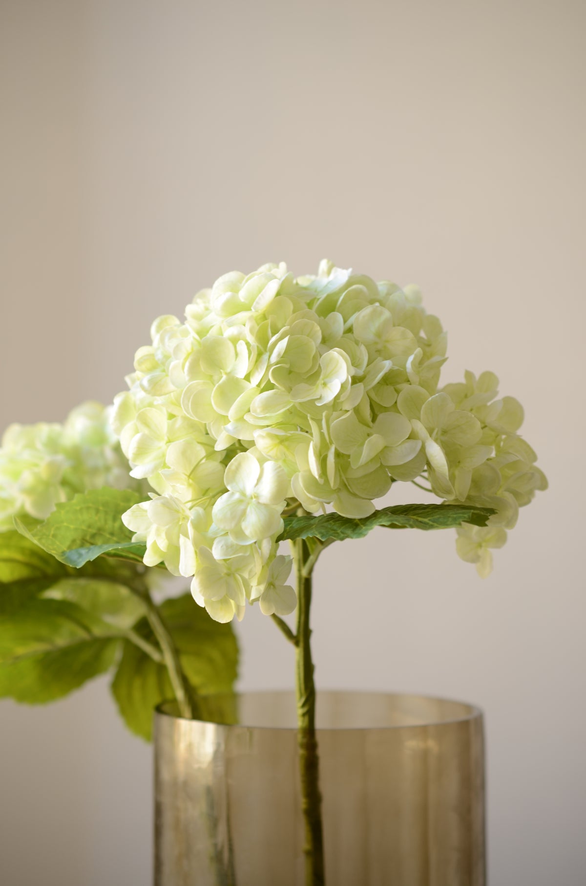 Den kunstige lysegrønne hortensia er en elegant blomst, der bringer harmoni og friskhed til en buket. De bløde, lysegrønne blomsterhoveder er fyldige og detaljerede, hvilket giver et naturligt og levende udtryk. De smukt formede blomster står i kontrast til de mørkere grønne blade, hvilket skaber en balance.

Denne langvarige og vedligeholdelsesfri hortensia kan stå alene som et stilfuldt centerpiece eller kombineres med andre kunstige blomster.

Stilken måler 49 cm.