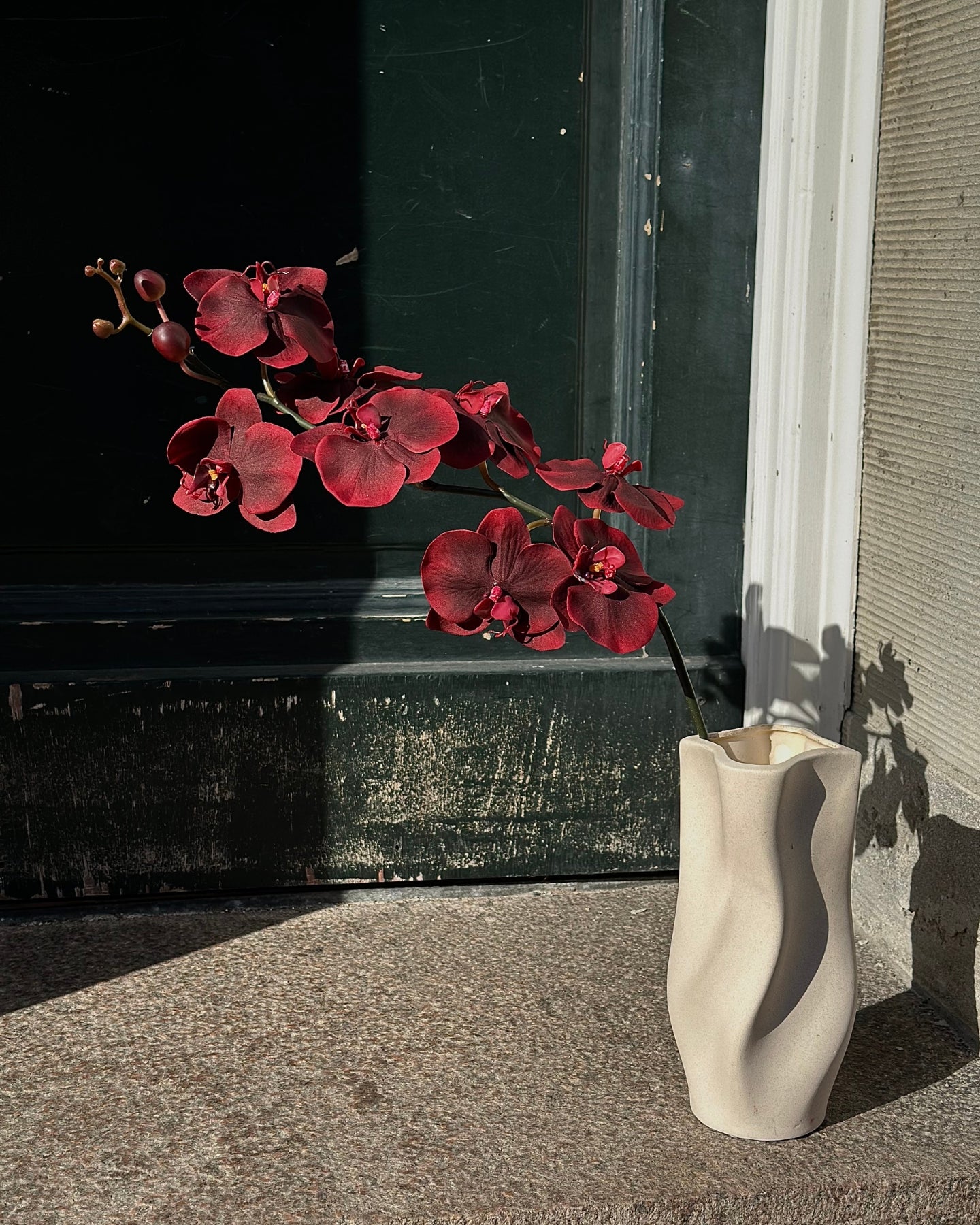 Den mørkerøde orkidé med 8 hoveder er en betagende og dramatisk kunstig blomst. De store, dybrøde blomsterhoveder er skabt med mange detaljer og stor naturlig realisme. Hver orkidéblomst er omhyggeligt designet med delikate kronblade, der gradvist tones mod en mørkere rød farve i midten, hvilket tilføjer dybde og elegance.

Står smukt alene eller kombineret med andre kunstige blomster, hvor den vil give et stilfuldt præg til ethvert rum.