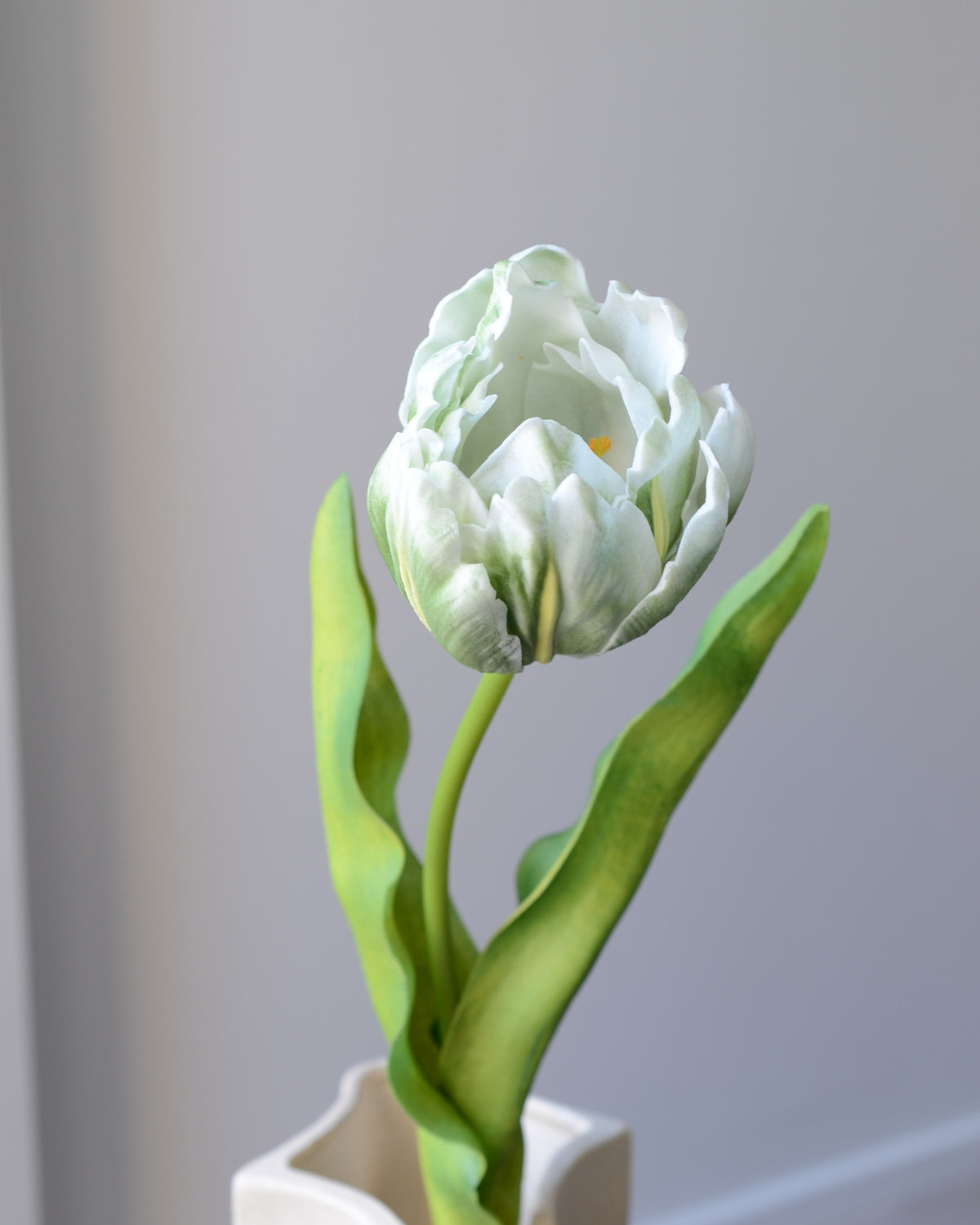 Kunstig hvid og grøn papegøjetulipan fra Bloomgaard