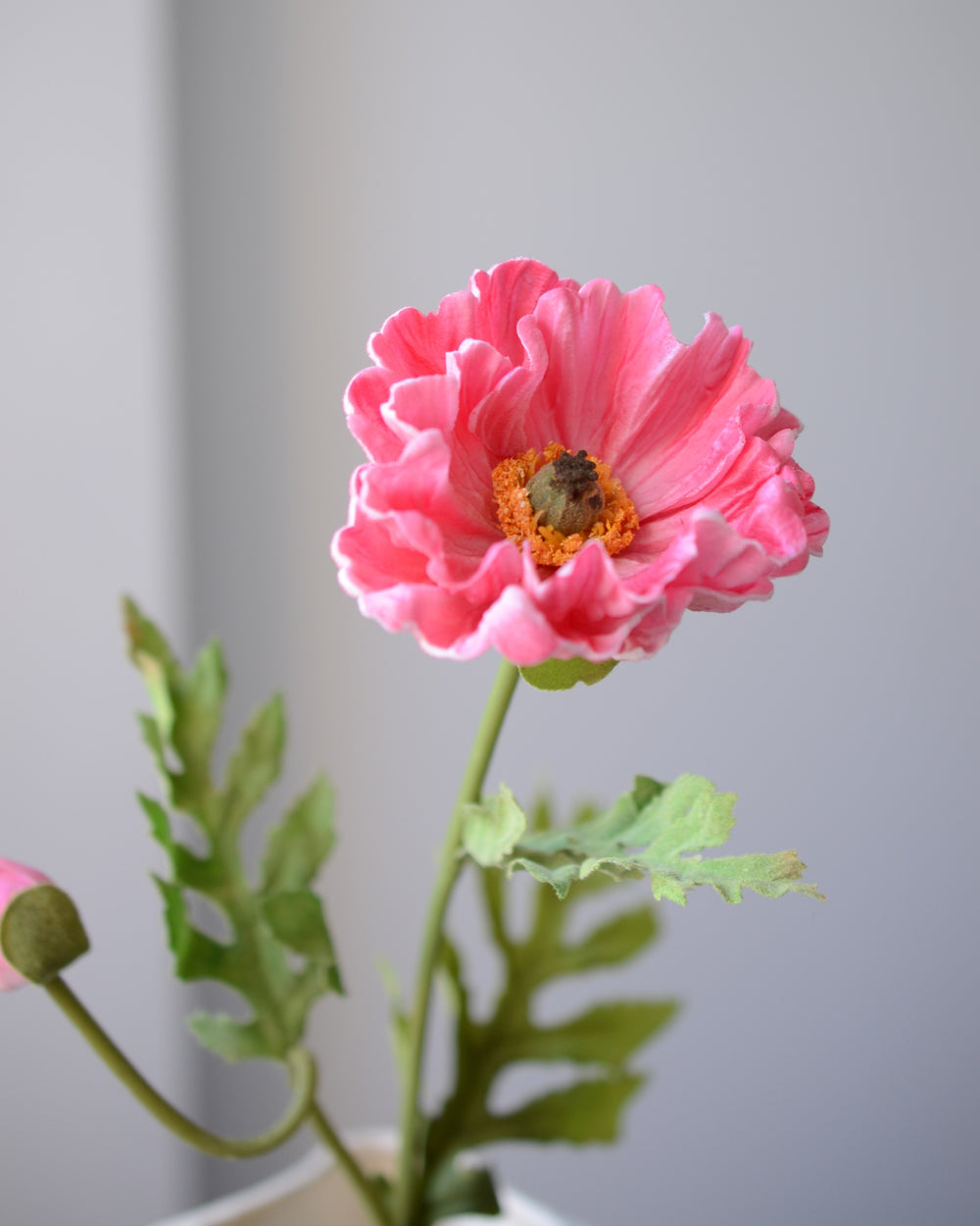 Vores pink valmue er en drømmende og iøjnefaldende blomst i en klar rosa nuance. De bølgende kronblade og det markante blomsterhjerte skaber et livagtigt og naturligt udtryk. Med ét stort, udsprunget hoved og en elegant knop tilfører valmuen både lethed og karakter til enhver buket eller vase.

Stilken er bøjelig og nem at forme, hvilket gør blomsten ideel i naturlige sammensætninger.&nbsp;

Stilken måler 63 cm.