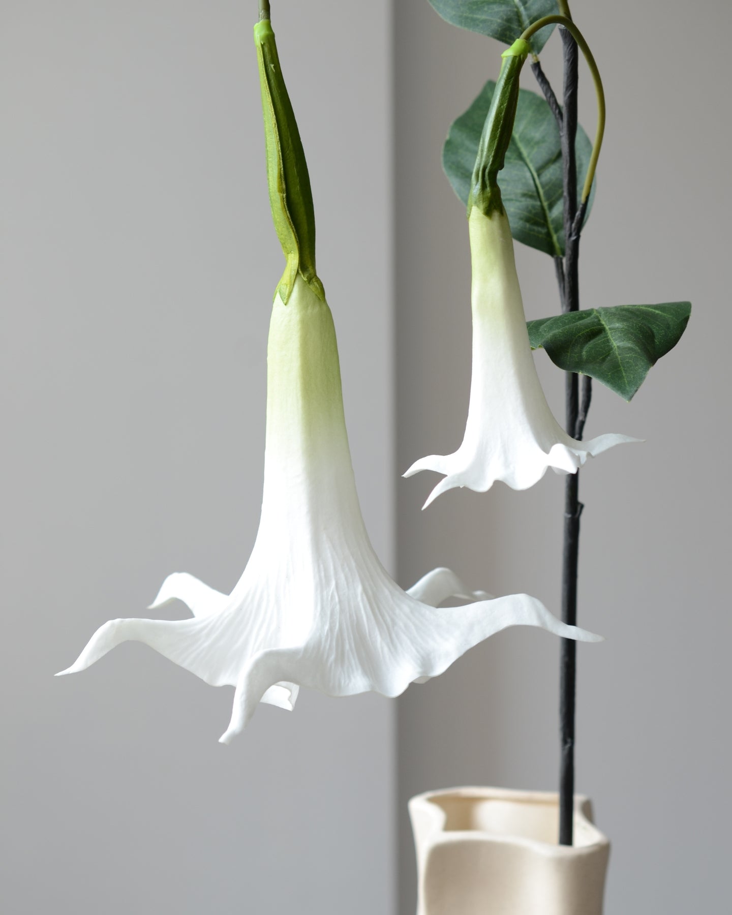 Den kunstige engletrompet med to elegante, hvide blomsterhoveder er det perfekte valg, når du vil tilføje et dramatisk og kunstnerisk element til din indretning. De bølgende blomster og mørkegrønne blade er udformet med stor præcision og realisme.

Den vedligeholdelsesfri stilk står smukt alene, men kan også skabe dybde og bevægelse i en buket med andre kunstige blomster.

Stilken måler 83 cm i sin fulde længde.