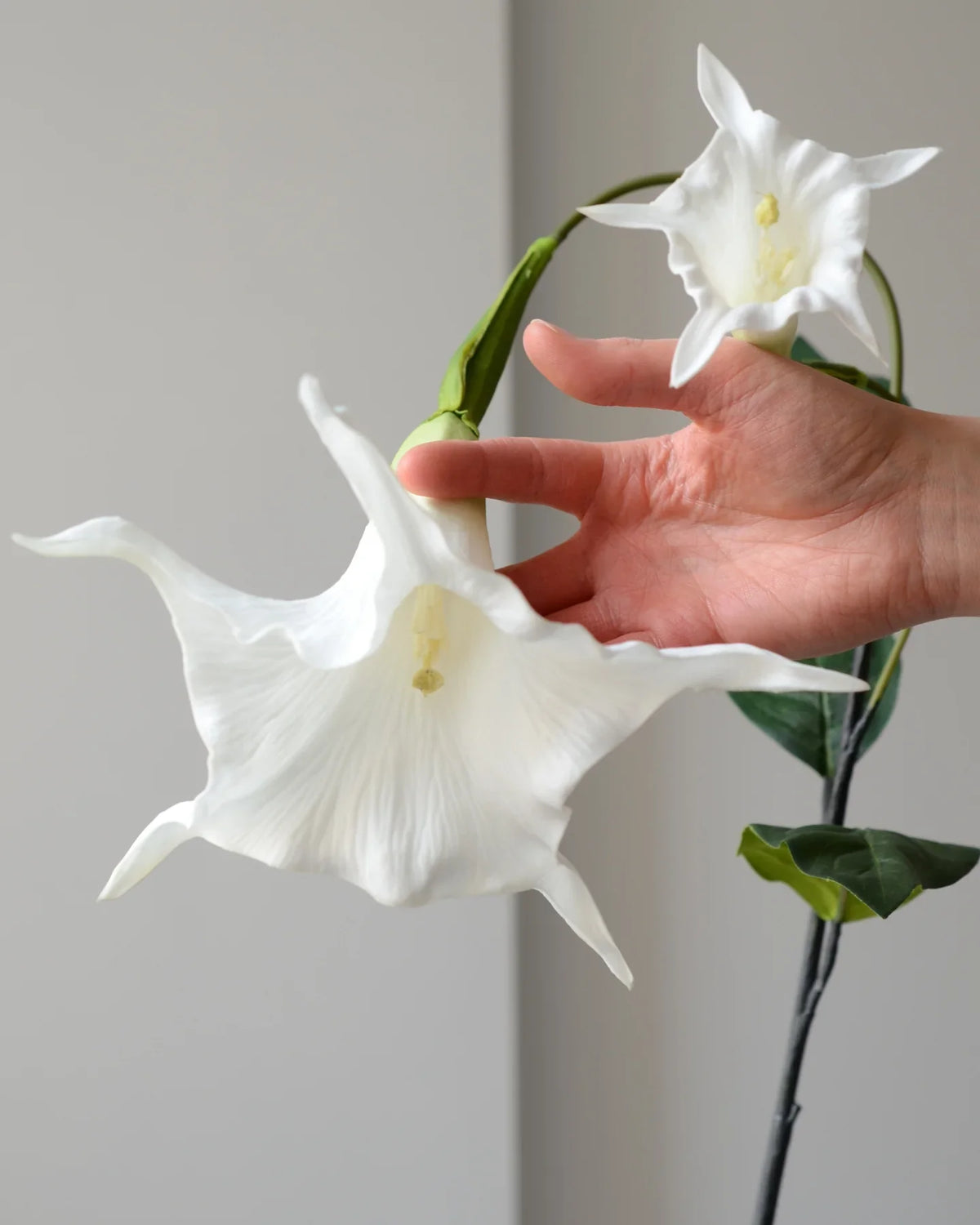 Kunstig hvid datura fra Bloomgaard