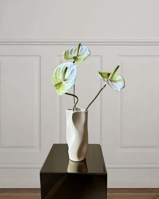 Anthurium - Bloomgaard