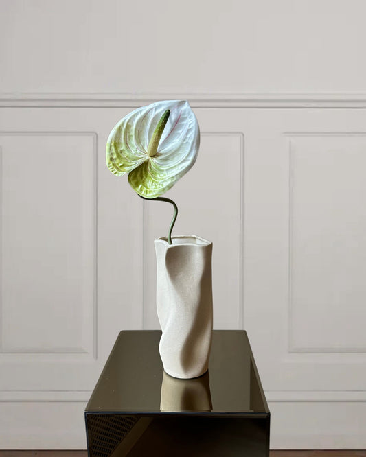 Anthurium - Bloomgaard