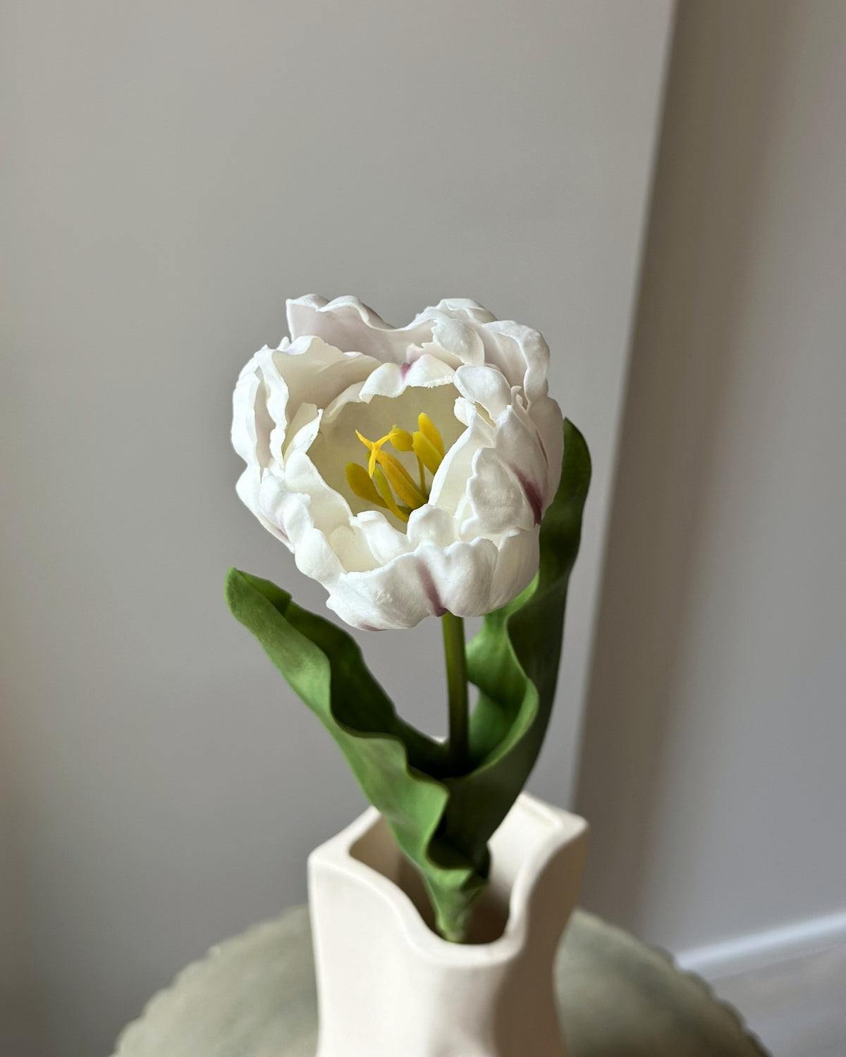 Hvid papegøjetulipan i en sandfarvet vase