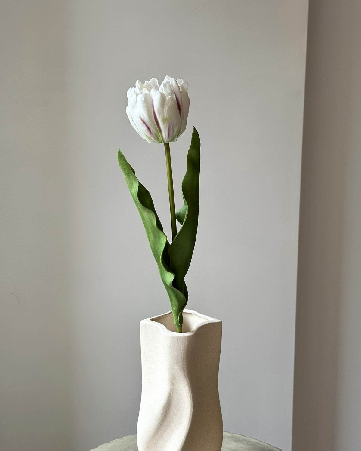 Hvid papegøjetulipan i en sandfarvet vase