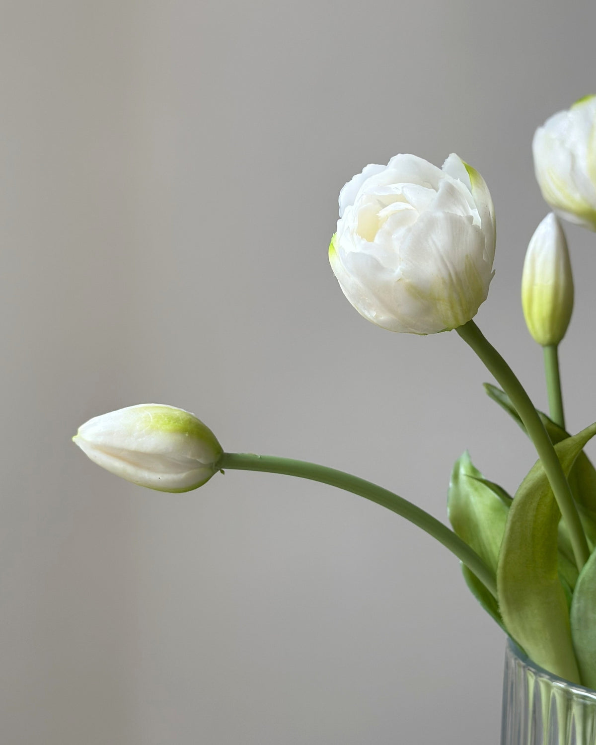 fem hvide tulipaner i en glasvase på en cement piedestal
