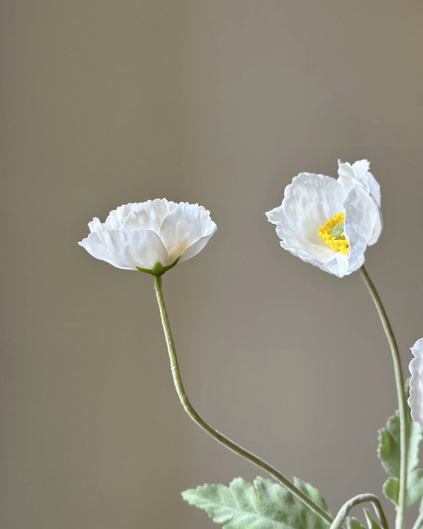 Kunstige, hvide valmuer. Tre udsprungne blomsterhoveder og en knop