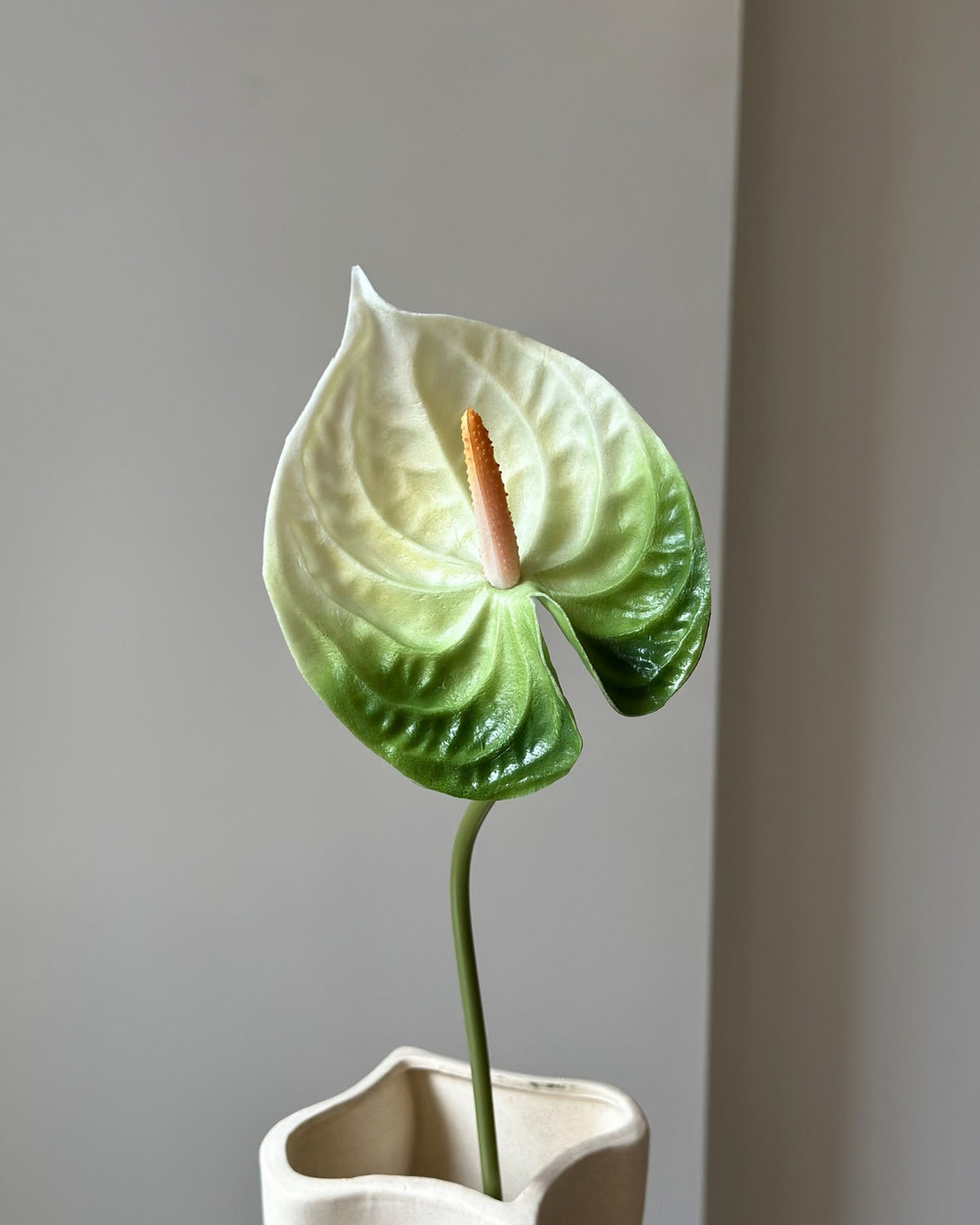Hvid og groen kunstig anthurium blomsterstilk i en sandfarvet vase