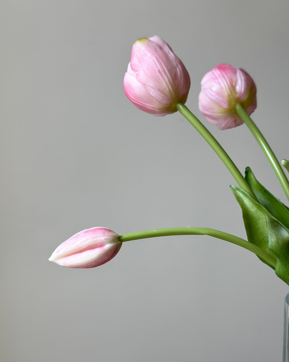 fem lyseroede tulipaner i en glasvase på en cement piedestal