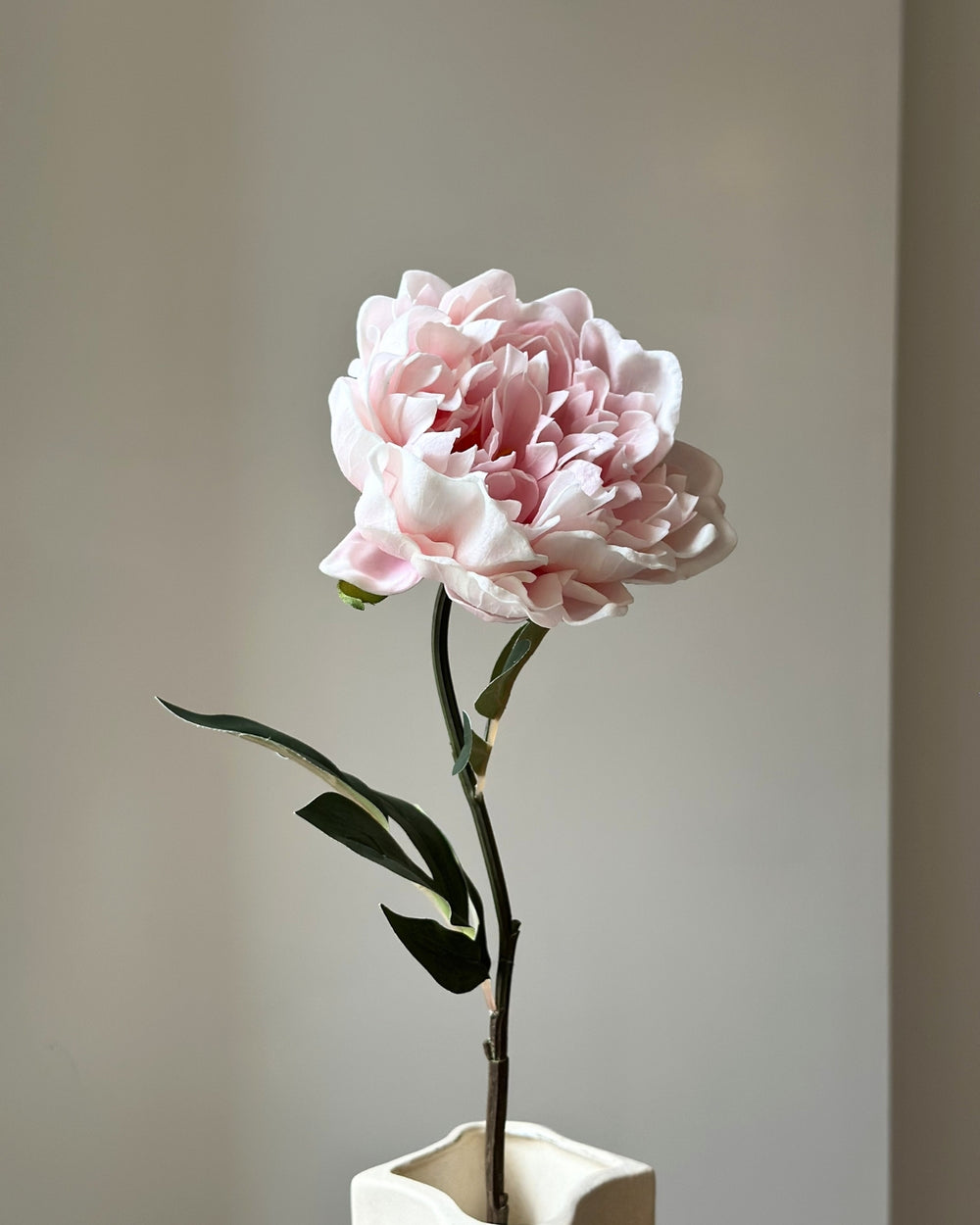 Soft Rose Tones