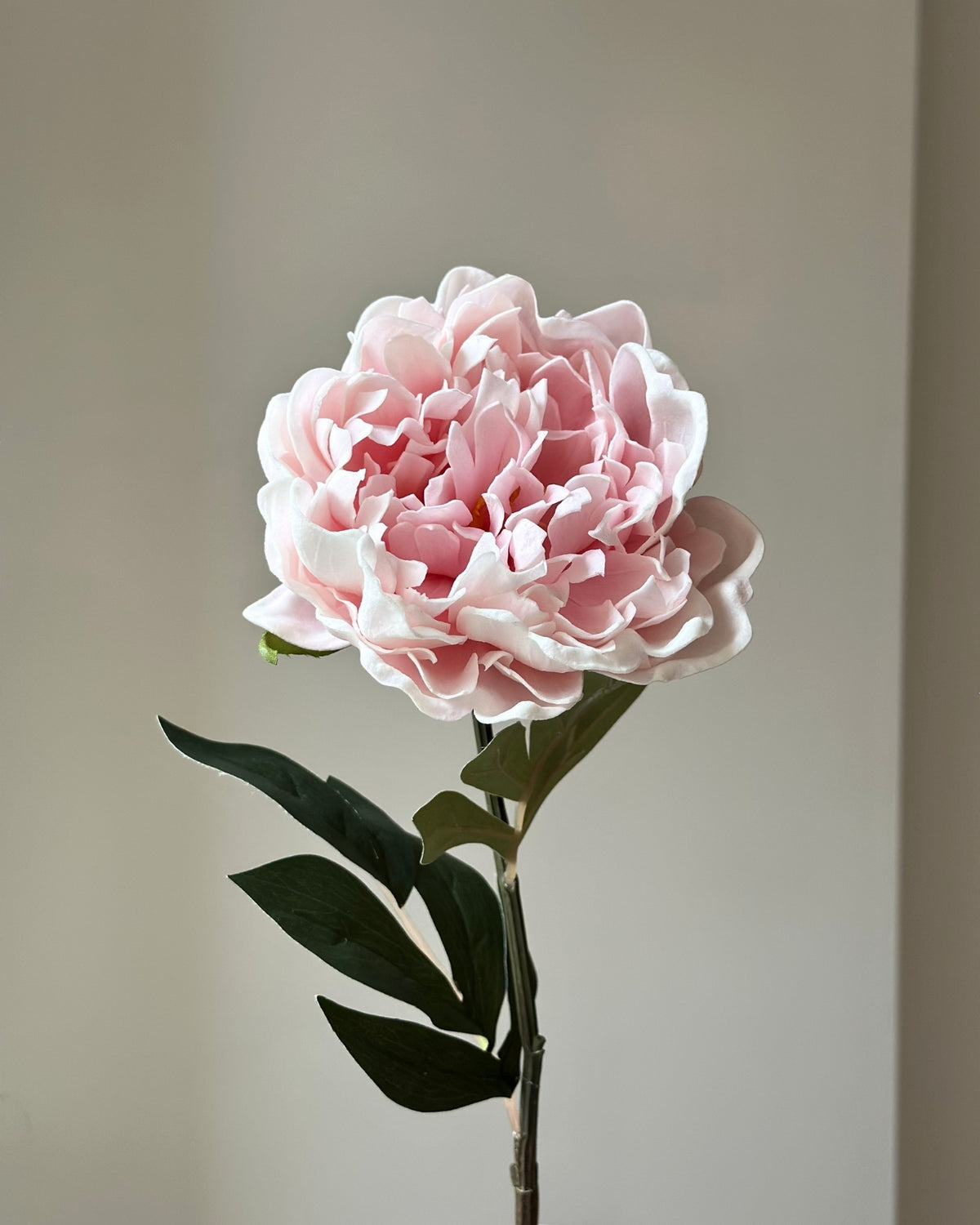 Stor, kunstig lyseroed pæon blomst med mørkegrønne blade på stilken. Den er placeret i en sandfarvet vase