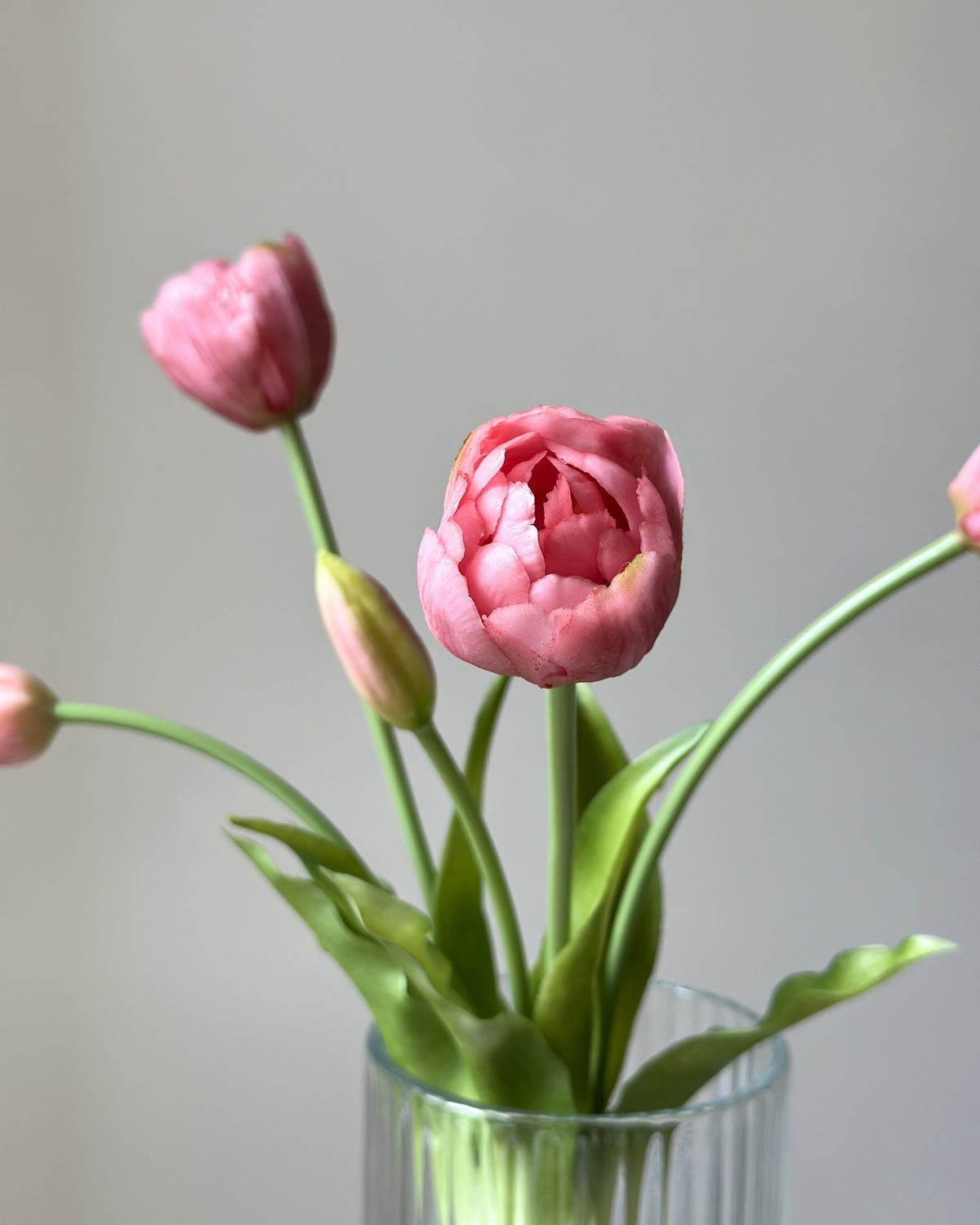 5 lyseroede tulipaner i en glasvase på en cement piedestal