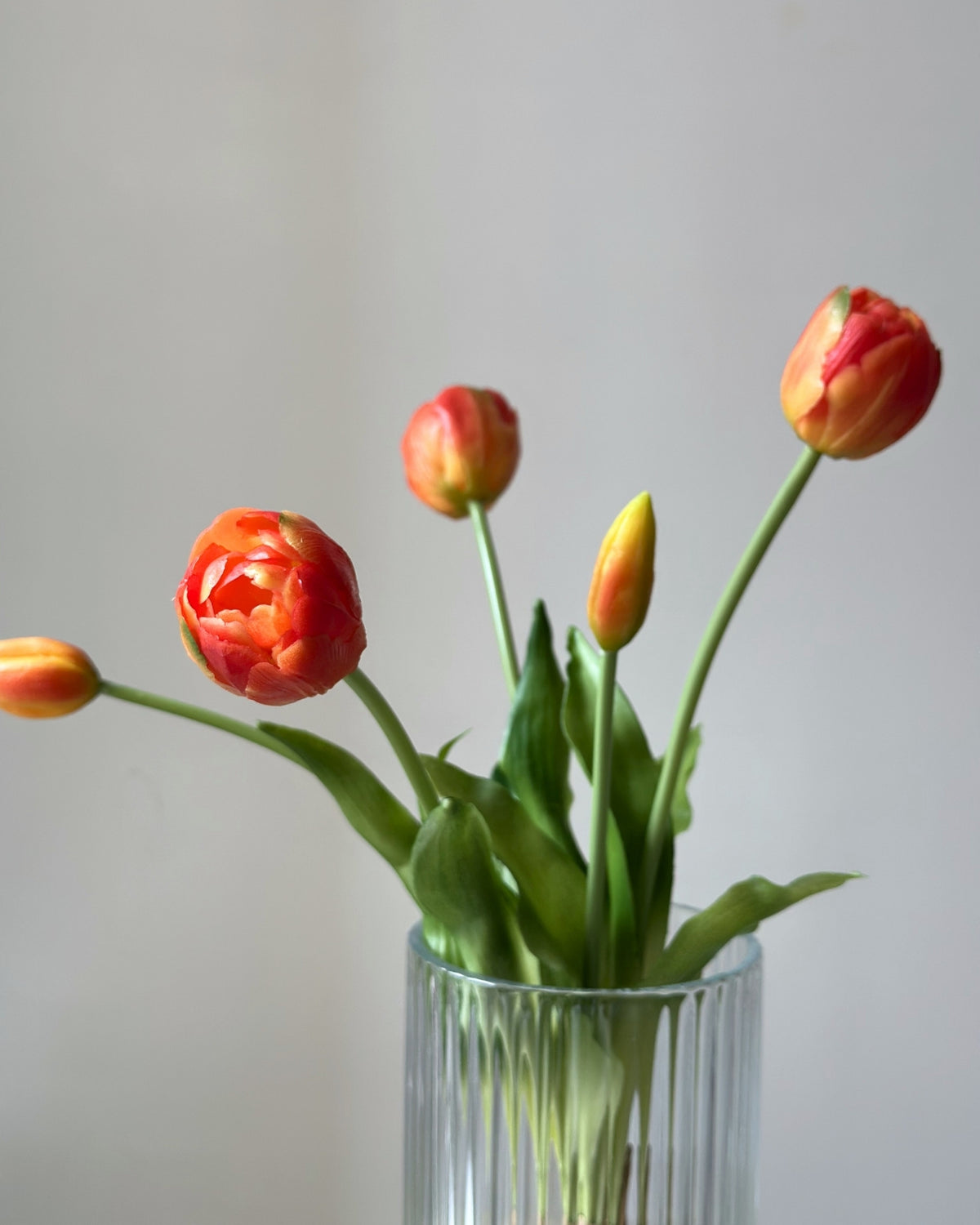 5 orange tulipaner i en glasvase på en cementpiedestal
