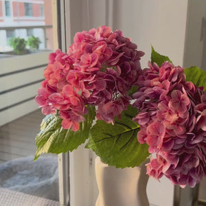 Den kunstige pink hortensia er en iøjnefaldende blomst, der tilføjer et romantisk og levende element til enhver buket eller dekoration. Med sine fyldige blomsterhoveder i smukke, varme nuancer skaber den en farverig og indbydende atmosfære. De detaljerede blomster og de grønne blade giver et naturligt og realistisk udtryk, mens den langvarige kvalitet gør den til en vedligeholdelsesfri løsning.

Stilken måler 49 cm.