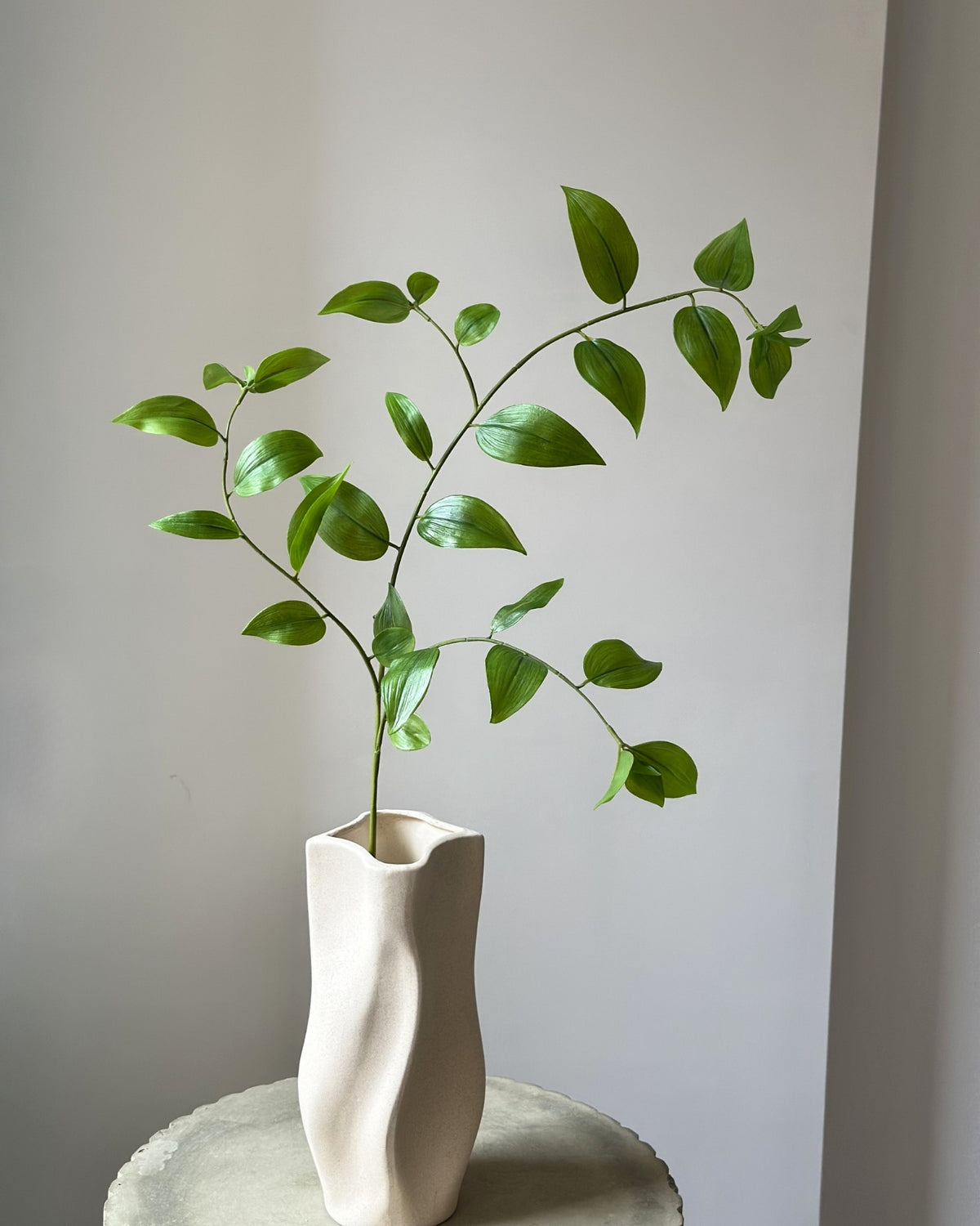 Kunstig, groen israeli ruskus gren i en sandfarvet vase