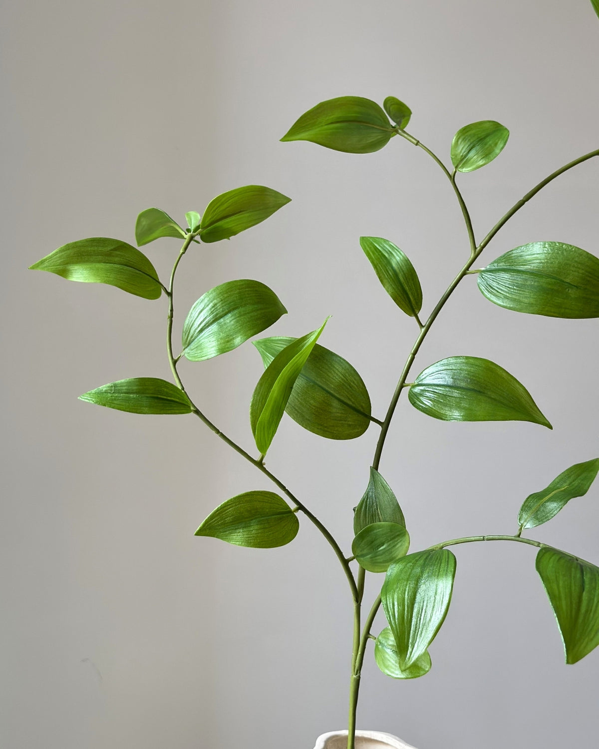 Kunstig, groen israeli ruskus gren i en sandfarvet vase