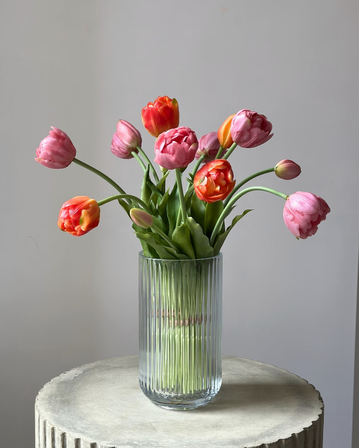 Mange lyseroede og orange tulipaner i en glasvase på en cementpiedestal
