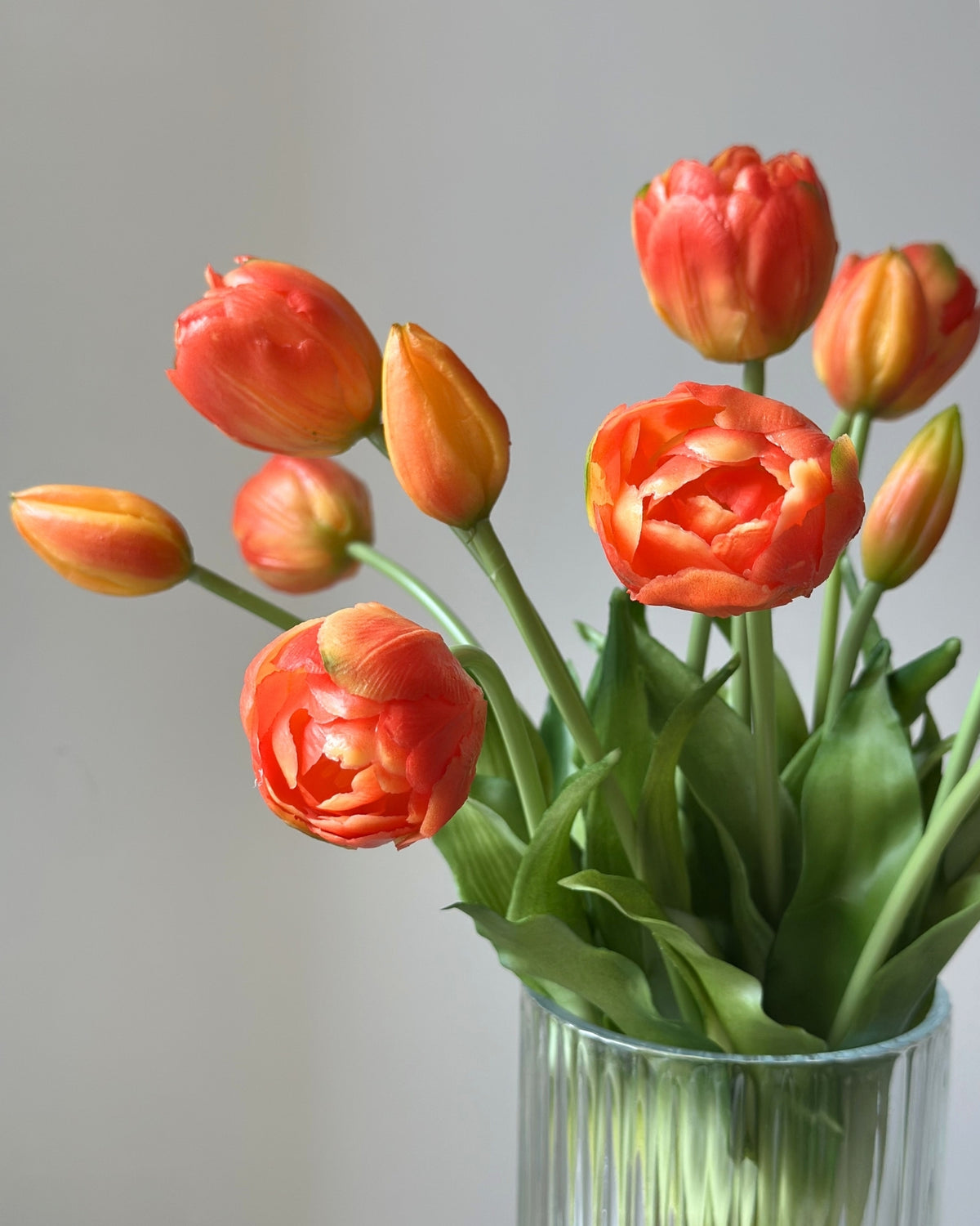 Mange, orange tulipaner i en glasvase på en cementpiedestal